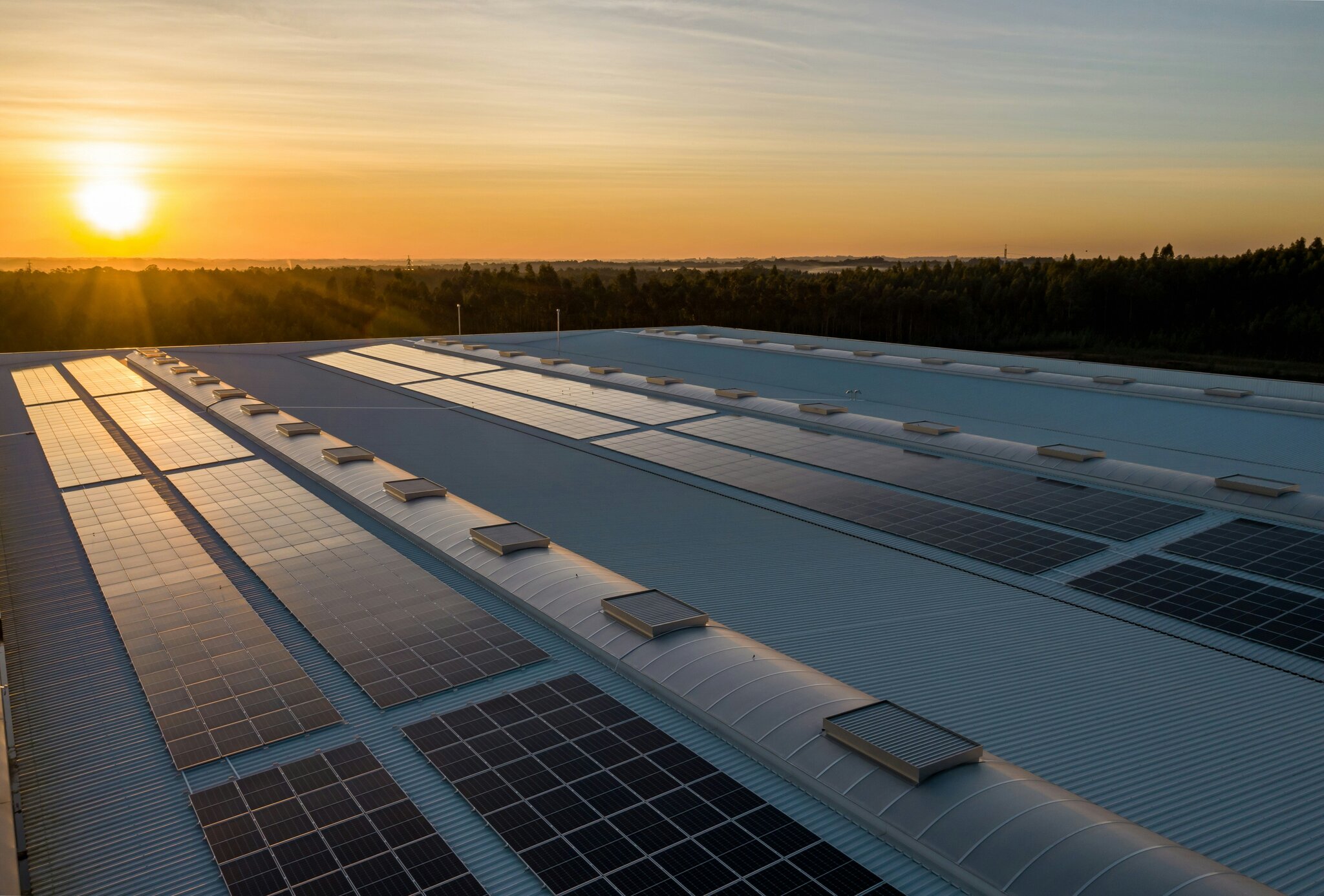 Different types of solar panels displayed side by side for comparison.
