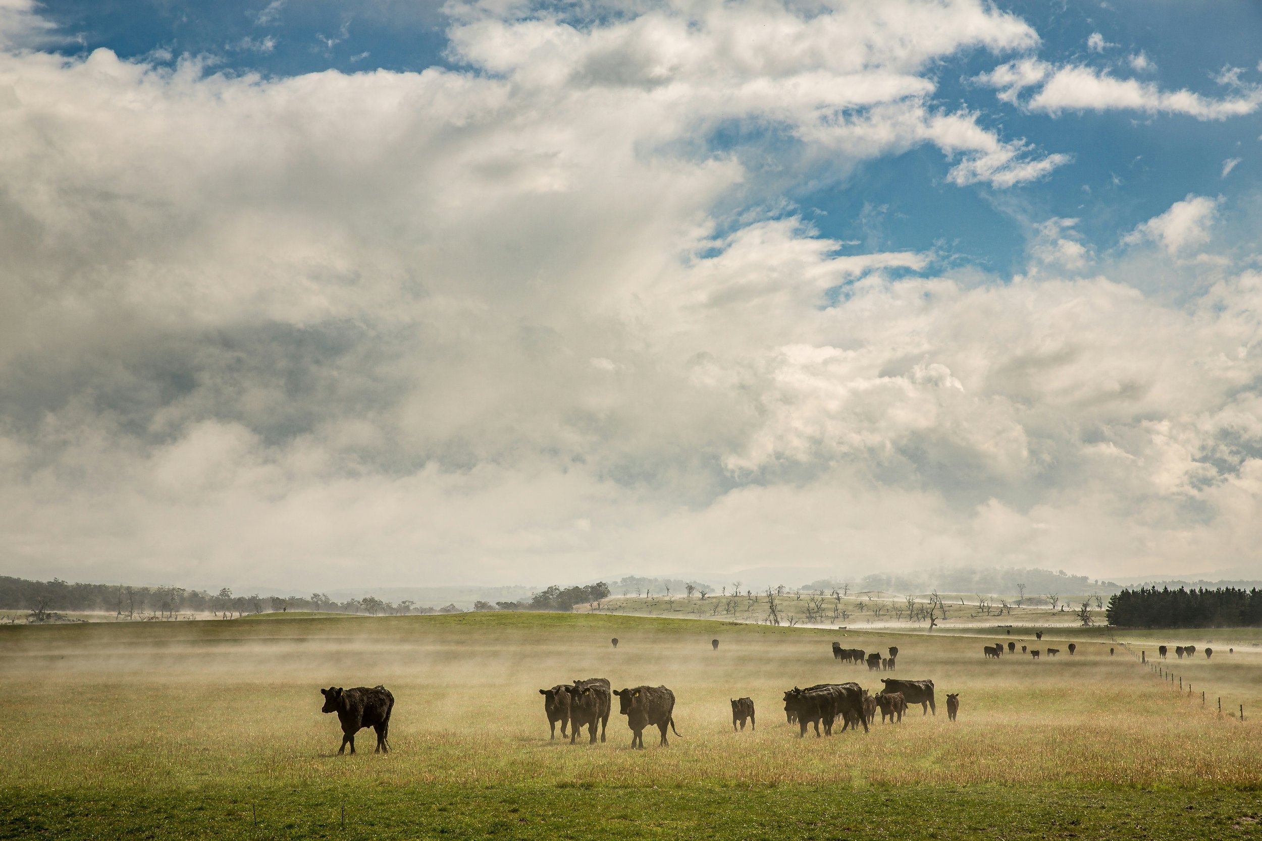 Agricultural land use