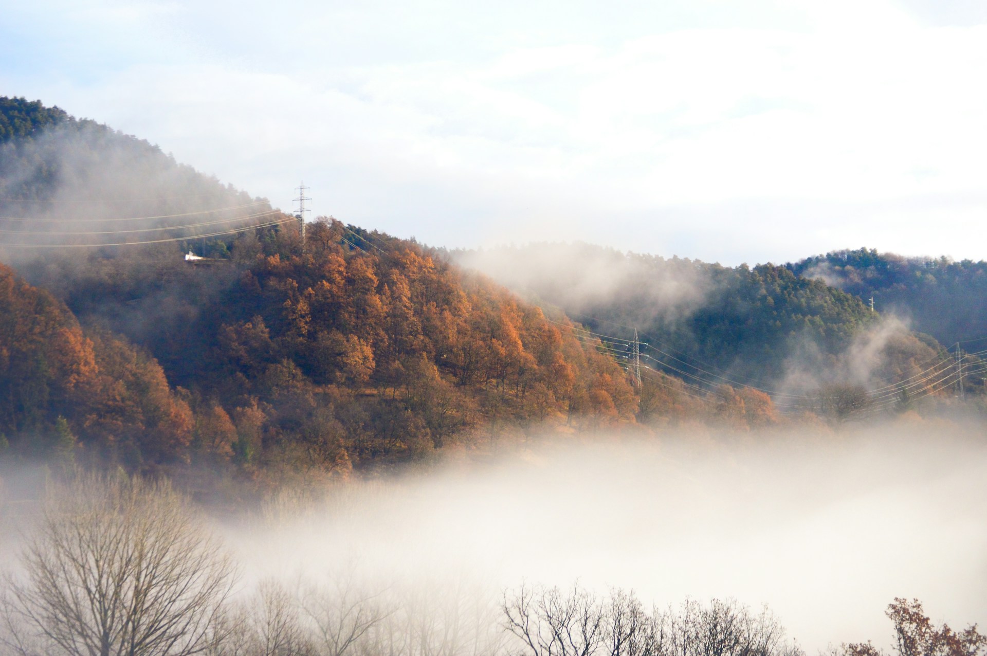 Solar panels on a Tasmanian home on a cloudy autumn day